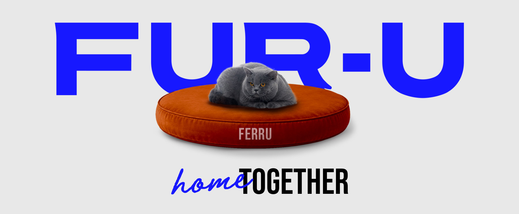 Fur-u: a grey cat on an orange cushion beneath bold blue lettering